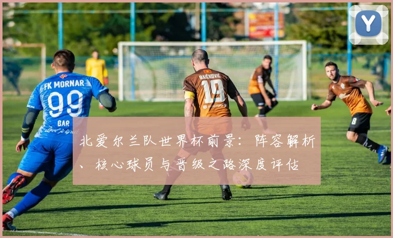 北爱尔兰队世界杯前景：阵容解析、核心球员与晋级之路深度评估