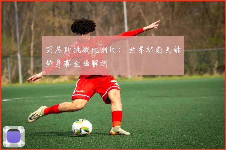 突尼斯挑战比利时:世界杯前关键热身赛全面解析