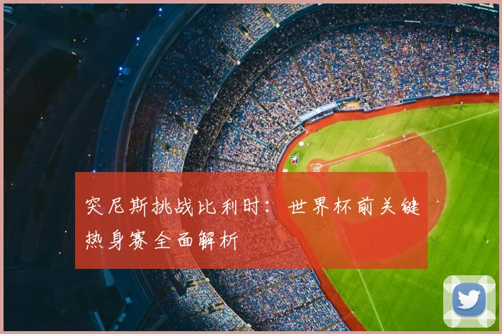 突尼斯挑战比利时:世界杯前关键热身赛全面解析