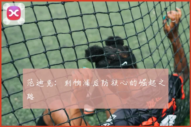范迪克：利物浦后防核心的崛起之路
