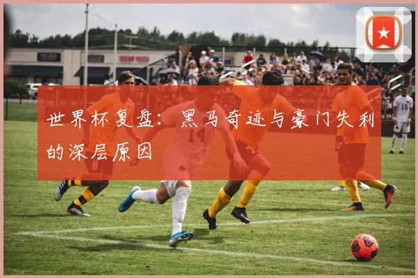 世界杯复盘：黑马奇迹与豪门失利的深层原因