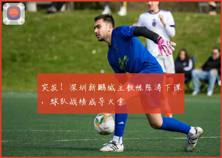突发！深圳新鹏城主教练陈涛下课，球队战绩成导火索
