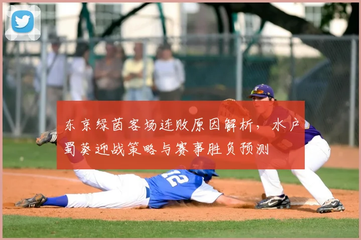 东京绿茵客场连败原因解析，水户蜀葵迎战策略与赛事胜负预测